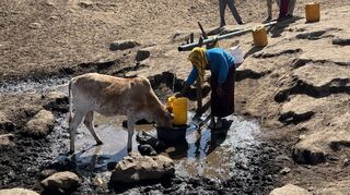 An der Wasserstelle des Dorfes Mwandeti holen sich Tiere und Menschen ihr Wasser. Perspektivisch wäre es schön das zu trennen.