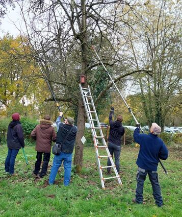 Die Aktiven des Heppenheimer Obst- und Gartenbauvereins pflegen Obstbäume, die sie bei einer Aktion für den Winter fit gemacht haben. Mit einem attraktiven Programm will der Verein um junge Mitglieder werben.