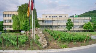 Das frühere AOK-Gebäude am Kreisel.