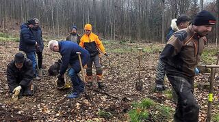 Ziel ist es, den Wald durch eine größere Baumartenvielfalt widerstandsfähiger gegen Krankheiten und Klimaveränderungen zu machen.