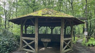 An der Zeppelinhütte im Wald oberhalb von Auerbach starten zwei Abfahrtsstrecken des Hochstädter Fuchstrails mit unterschiedlichem Schwierigkeitsgrad.