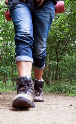 Der OWK Auerbach hat den Wanderplan für 2025 vorgelegt – schon im Januar werden die Wanderschuhe geschnürt.