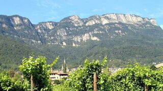 bhe Kaltern Städtepartnerschaft Heppenheim ARCHIV - Weinanbau in Kaltern in Südtirol (Archivfoto vom 05.09.2007). Die letzte Ernte ist seit Monaten eingefahren, der Jahrgang 2008 dürfte ordentlich ausfallen. In Italiens Weinbergen von Südtirol bis Sizilien ist also die winterliche Ruhe eingekehrt. Die Winzer des Stiefelstaates haben - nach einem Jahrzehnt - den «Weltmeistertitel» als führende Produzenten zurückerobert, von der Menge her jedenfalls eine Rekord-Weinlese für das 21. Jahrhundert in ihre Keller gebracht - und ihren Erzrivalen Frankreich damit wieder überrundet. Foto: Frank Baumgart (zu dpa-KORR "?«Adoptiere ein Fass? - Anti-Krisen-Rezepte des Wein-Champions Italien vom 16.01.2009) +++ dpa-Bildfunk +++