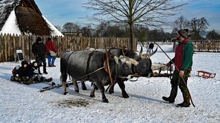 „Freuen Sie sich auch auf Schlittenfahrten mit unseren Zugtieren“, wirbt Lauresham für den Thementag Winter. Publikum ist am 26. Januar willkommen.