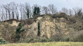 Am Mozenrechweg Ortsausgang Bensheim in Richtung Schönberg sollen drei Wohngebäude mit insgesamt 51 Wohneinheiten entstehen. Der BUND-Ortsverband Bensheim lehnt das Vorhaben mit Blick auf den Artenschutz und ein mögliches Überschwemmungsrisiko allerdings entschieden ab.