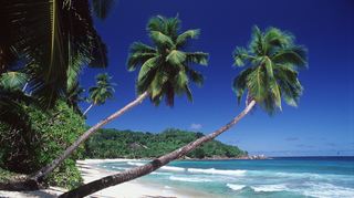 <p>Palmen, weißer Strand und blaues Meer - so stellen sich viele Bergsträßer ihren Urlaub vor.<br></p>