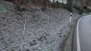 Der neue Schutzzaun wird derzeit aufgebaut, hier an der Straße zwischen Reichenbach und Beedenkirchen.