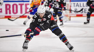 Mit zwölf Treffern ist Kristian Reichel derzeit der erfolgreichste Torschütze der Adler Mannheim.