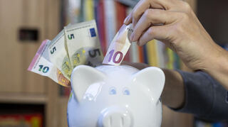 Das Sparschwein mit Scheinen zu füttern, ist keine empfehlenswerte Geldanlage. Bessere Tipps gab Finanzberaterin Susanne Asche beim Businesstreff der Wirtschafts-Vereinigung Bensheim.