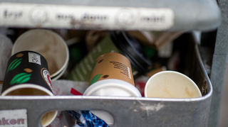 Benutzte Einweg-Kaffeebecher liegen in einem Mülleimer. In mehreren Städten könnte auf solche Produkte bald eine neue Steuer anfallen.