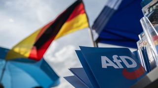 Die AfD profitiert nach einer Studie, an der sich auch die Universität Mannheim beteiligt hat, von den steigenden Mieten in den Ballungsräumen.
