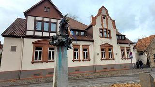 Die Nachfolger des ehemaligen Gossini am Heppenheimer Fastnachtsbrunnen haben ihren Namen verraten. Archivbild: Astrid Wagner