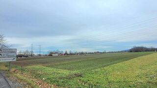 Rechts der B460 am westlichen Ortsausgang Heppenheims könnte ein Gewerbegebiet für Kleinunternehmer entstehen