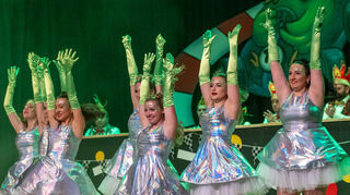 Glanzvoll präsentierten sich die „Dancing Chicks“ bei der Narrengiggel-Sitzung des VzEdT in der Mehrzweckhalle im vergangenen Jahr.