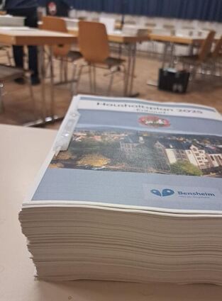 Keine leichte Lektüre: Am Donnerstagabend brachte Bürgermeisterin Christine Klein den Haushalt für das Jahr 2025 ein. Auch der Grundsteuerhebesatz war dabei Thema.