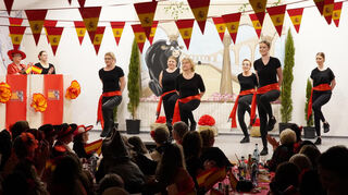 Das Show-Ballett der Wilden Weiber sorgte für viel Stimmung im Saal.