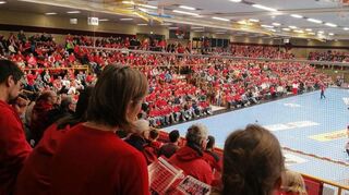 Die Farbe Rot dominierte beim Ein-Euro-Spiel der Flames gegen Sachsen Zwickau.