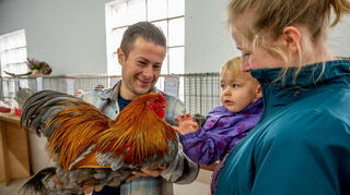 Das Bild zeigt den wiedergewählten KTZV-Vorsitzenden Marc Rotschadl, der Gästen bei der letzten Lokalschau des Kleintierzuchtvereins ein Zwerg-Brahma-Huhn präsentiert.