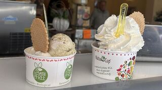 Im "Eiscafé Cortina" in der Bensheimer Innenstadt wurde "Mascarpone-Pistazie-Orange", kombiniert mit der Neuheit "Schoko-Himbeer-Kuchen" sowie dem Klassiker - einer Kugel Stracciatella mit Sahne- bestellt.