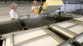 Die Käse-Produktion erfordert viel Handwerk, Zeit und Hingabe.