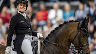 Auf dem Maimarkt-Turnier darf sich das Publikum in der Dressur auf die weltweit beste Reiterin Isabell Werth und ihr Olympiapferd Wendy freuen.