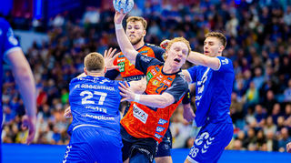 Löwe Gustav Davidsson hat einen neuen Verein gefunden.