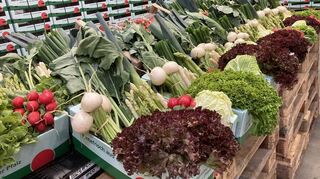 Der Pfalzmarkt setzt auf neue Mitglieder in Portugal. So soll es ganzjährig frisches Obst und Gemüse geben.