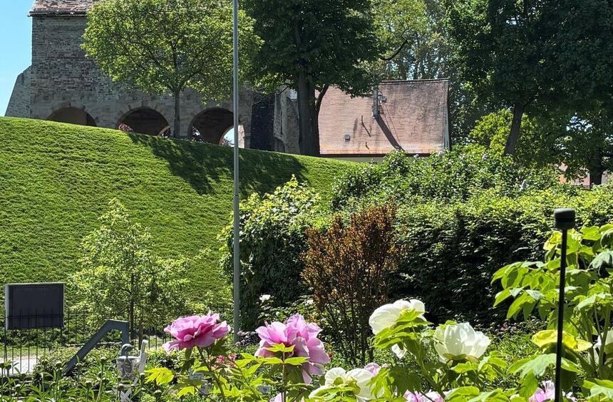 Lorsch Spring Market with poetry, peonies, and a party