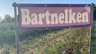 Ob die Blumen gut wachsen. wird mehrfach in der Woche kontrolliert.