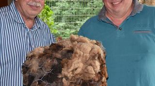 Thomas Brecht (r.) empfahl Schafwolle als ideales Material für das Gärtnern im Hochbeet.