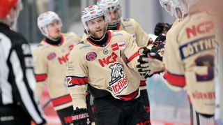 Hayden Shaw spielte in den vergangenen drei Jahren für die Nürnberg Ice Tigers.