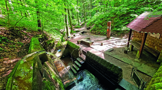 Ein Blick auf das Areal der Walddusche von oben.