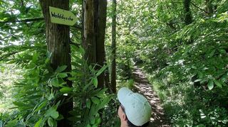 Der Weg zur Walddusche.