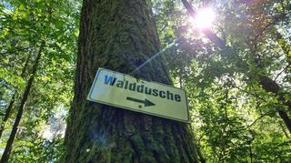Der Weg zur Walddusche ist - hier von Gleisweiler aus - gut ausgewiesen.