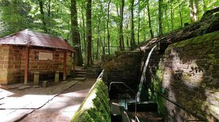 Ein schöner Ort: die Walddusche in Gleisweiler.
