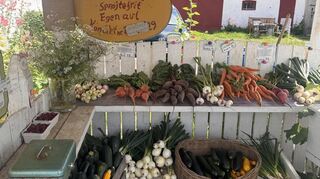 Ein Gemüsestand in Dronningmølle mit frischen, regionalen Produkten.