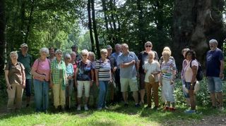 Der Odenwaldklub Gadernheim wanderte bei Erbach-Elsbach.