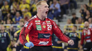 Löwen-Torhüter David Späth präsentierte sich bereits in starker Frühform.
