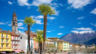Im Vordergrund die Palmen, im Hintergrund schneebedeckte Alpen: Ein einzigartiger Anblick im Tessin.