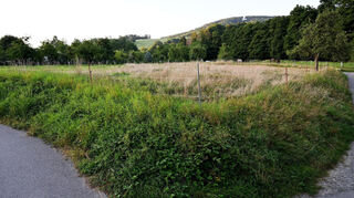 In Schlierbach soll zwischen der Straße „In der Bain“, der Schwimmbadstraße und dem Fahlbach ein Neubaugebiet entstehen.