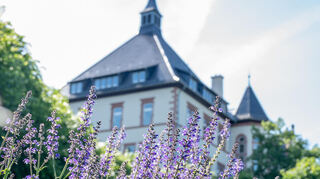 Die Stadtverwaltung im Rathaus lässt eine Organisationsuntersuchung durchführen.