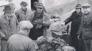 Im 19. Jahrhundert gab es vor allem in Kleinhausen einige Tabakfabriken und Zigarrenmacher, die hier auf dem alten Foto mit Tabak handeln.