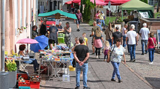 Zum 35. Mal hatte der Abwasserverband Oberes Gersprenztal in Lindenfels den Ökomarkt organisiert.