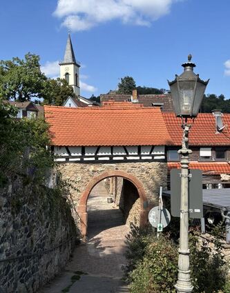 Die Stadt Lindenfels will sich um die Aufnahme ins Dorfentwicklungsprogramm des Landes bewerben.