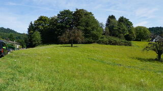 Die Wiese am Reiterweg in Kirschhausen, auf der gebaut werden soll. Ursprünglich war von doppelt so vielen Häusern die Rede gewesen.