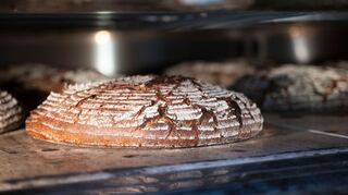 Das Brot ist auch bei Promis gefragt.