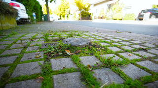 Weil das Wurzelwachstum den Gehweg einschließlich des vorhandenen Plattenbelags anhob, musste ein Baum in der Neckarstraße in Rodau gefällt werden.