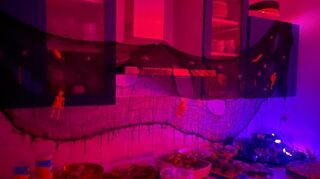 Mit einer schaurig-schönen Deko und leckerem Grusel-Fingerfood steht dem Halloween-Spaß nichts mehr im Wege.