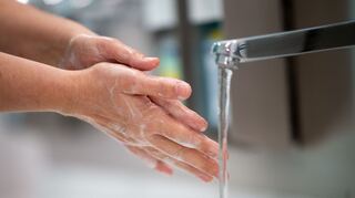 Wasser und Seife kann viele Viren verhindern. (Symbolfoto)