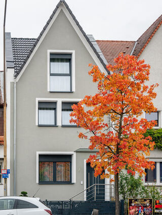 Das Haus Wormser Straße 35in Bensheim präsentiert sich heute verputzt, modernisiert und farblich neu gestaltet.